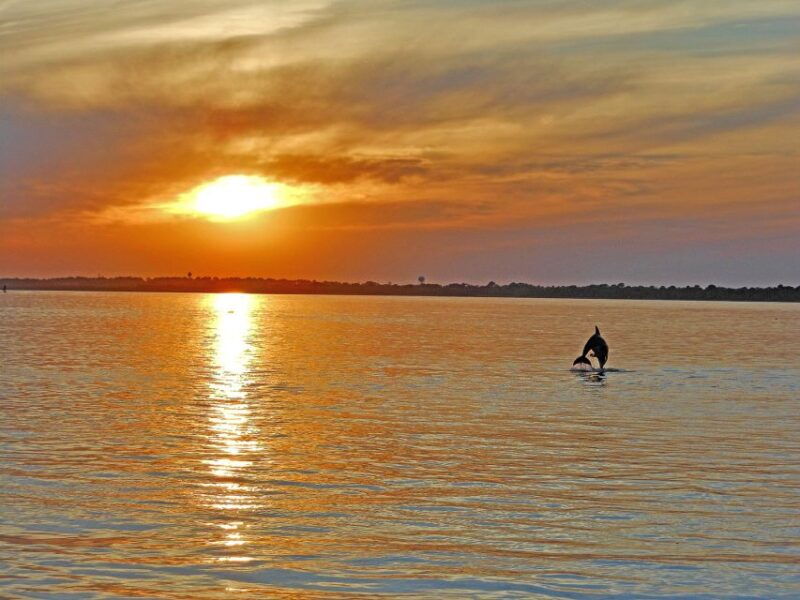 chincoteague-assateague-island-sunset-boat-cruise