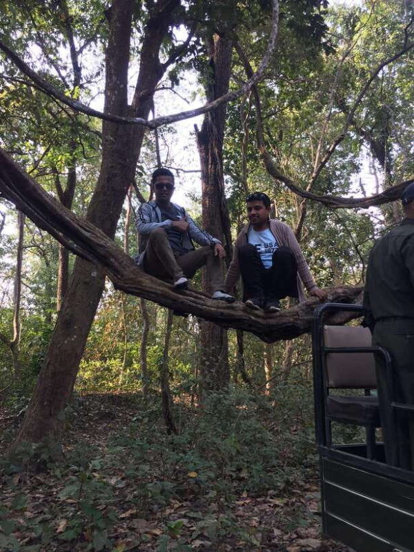 chitwan-3night-4day-chitwan-national-park-jungle-activities