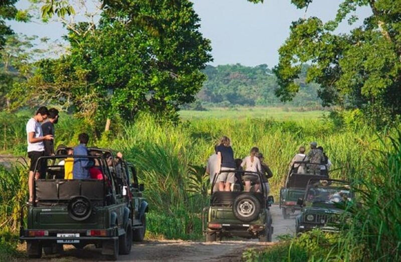 chitwan-jungle-safari-2-nights-3-days-from-kathmandu