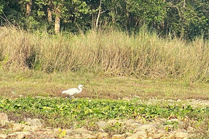 Chitwan Jungle Safari Tour - FAQ