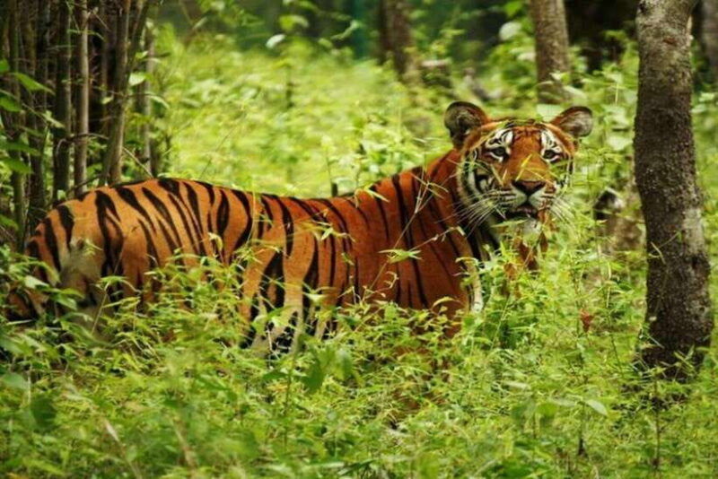 chitwan-national-park-tour