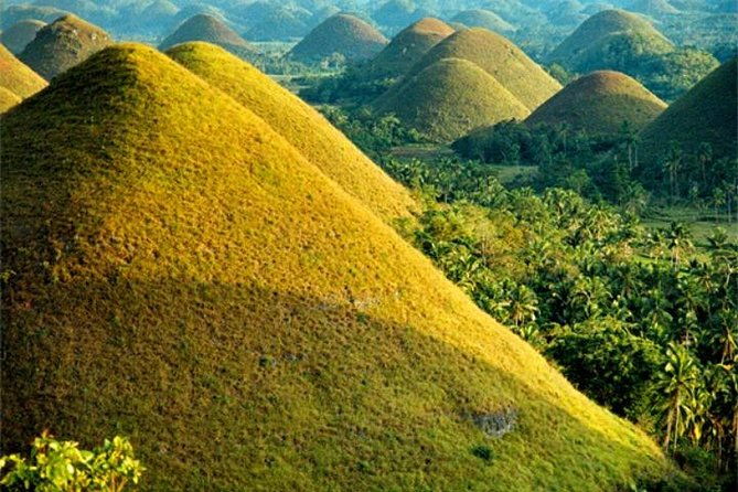 Chocolate hills tour with Tarsier & Loboc river Buffet Lunch (half-day tour) - Transportation and Group Size