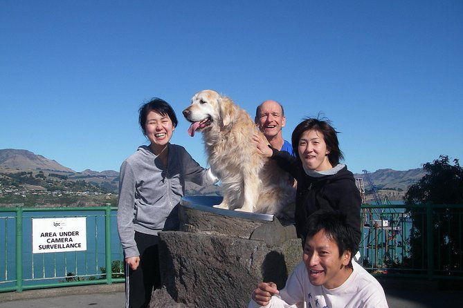 Christchurch Coastal Hiking Tour - Key Points