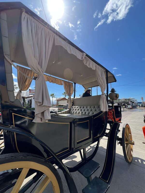 city-tour-on-electric-horse-wagon