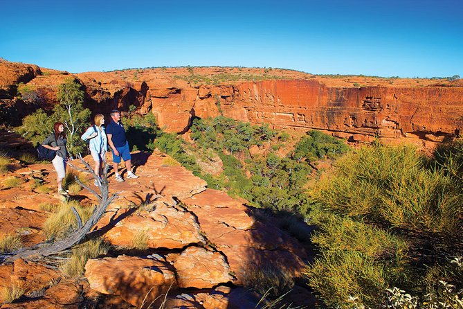 Coach Transfer from Ayers Rock (Uluru) to Kings Canyon - An In-Depth Look at the Coach Transfer Experience