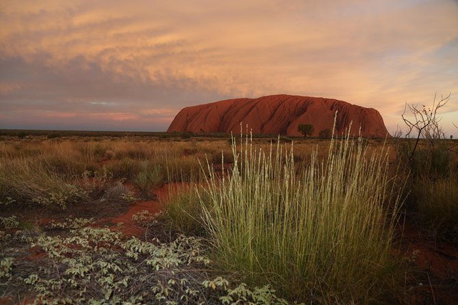 Coach Transfer from Kings Canyon Resort to Ayers Rock (Uluru) - Practical Details and What You Need to Know