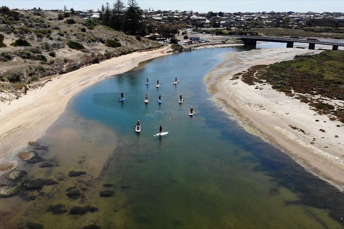 Coast to Vines: E-bike*, Paddle Board and Wine Tour (2 options) - Practical Details and Value