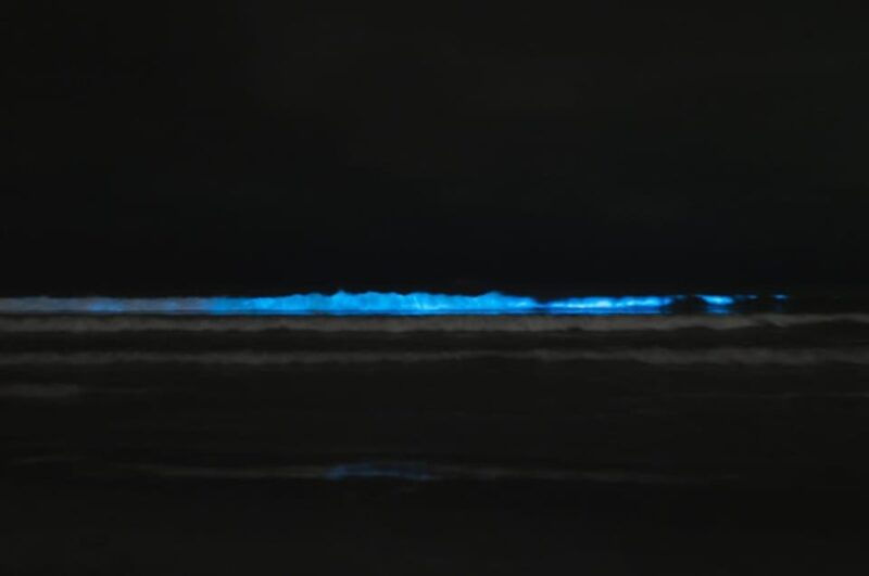 cocoa-beach-merritt-islandbioluminescent-kayak-tour