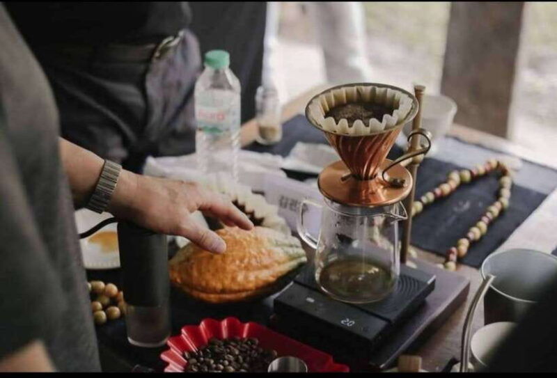 coffee-farm-tour-that-give-experience-of-coffee