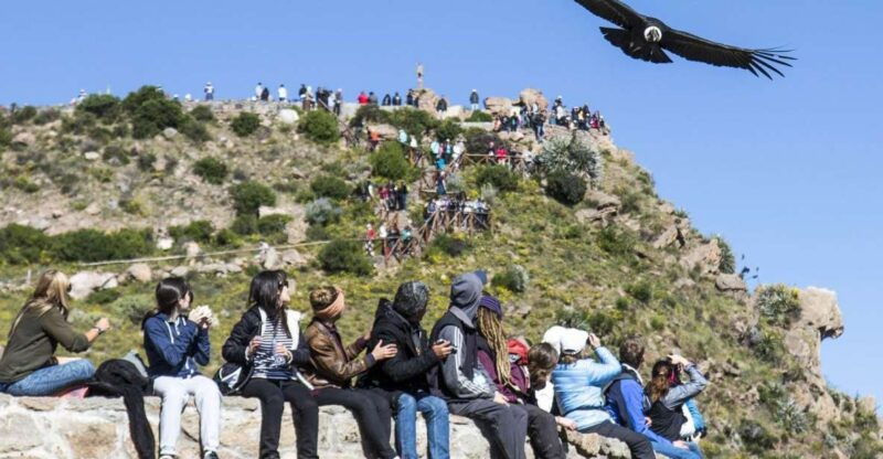 colca-canyon-2-day-tour-from-arequipa-to-puno