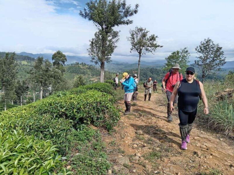 colombo-5-day-hill-country-trekking-itinerary-to-ella