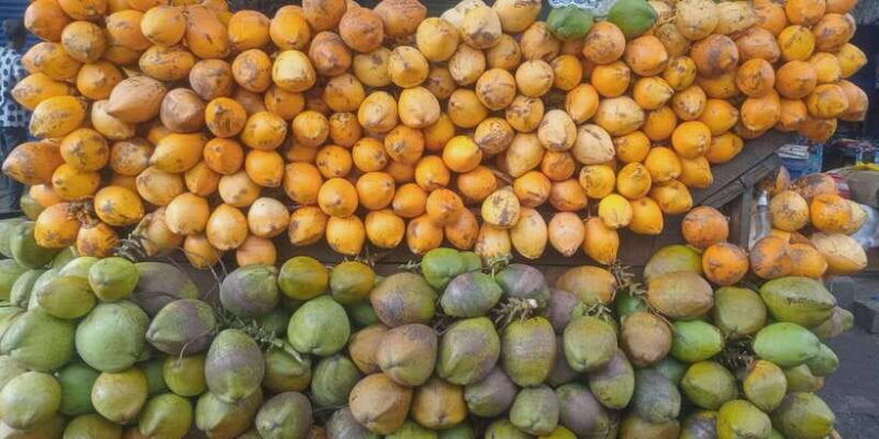 colombo-private-tuk-tuk-street-food-tour-with-sightseeing