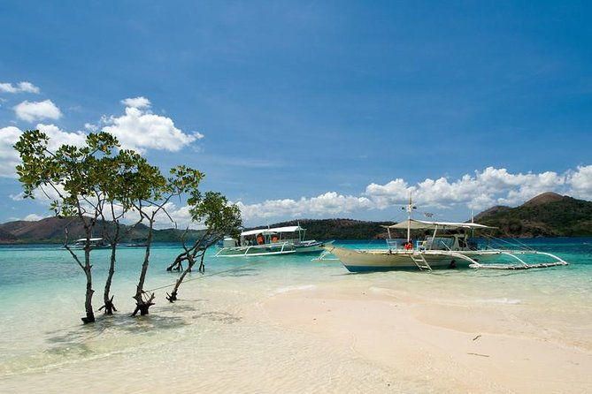 Coron Ultimate Tour (Shared Tour) - What Travelers Are Saying