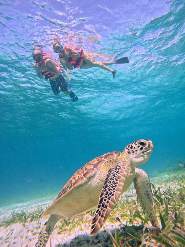 costa-maya-snorkeling-tour-to-the-reef