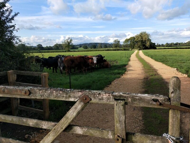 cotswolds-full-day-private-walking-tour-with-local-guide