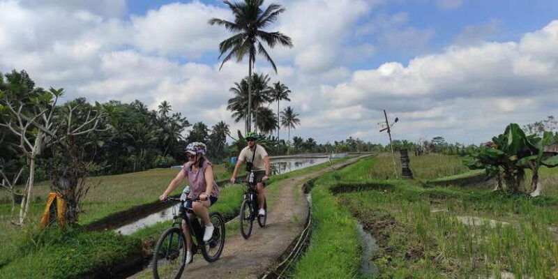 country-side-electric-bike-tour