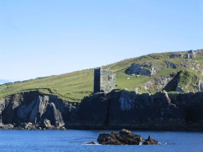county-cork-whale-dolphin-watching-boat-trip
