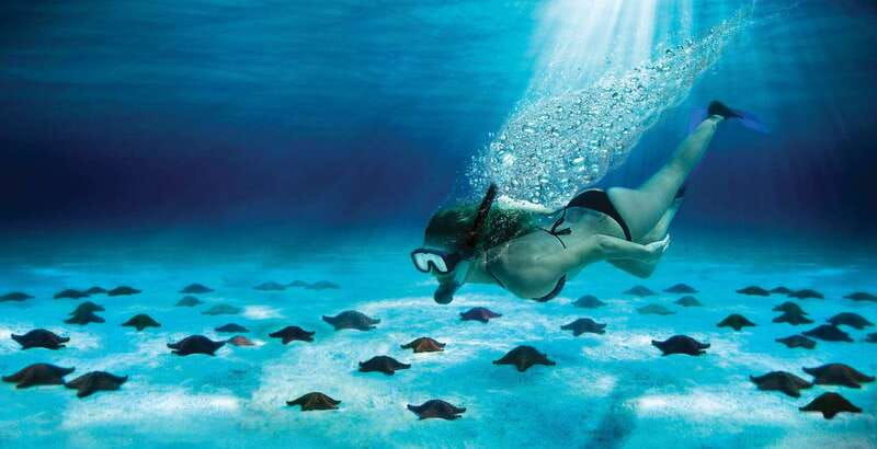 cozumel-the-sky-palancar-snorkel-with-open-bar-ceviche