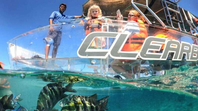 cozumel-transparent-boat-tour