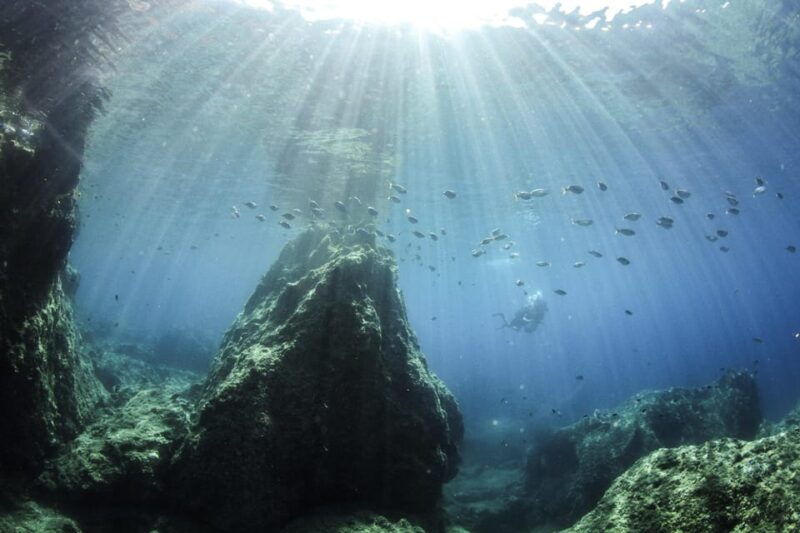 crete-chania-guided-diving-experience-for-certified-divers