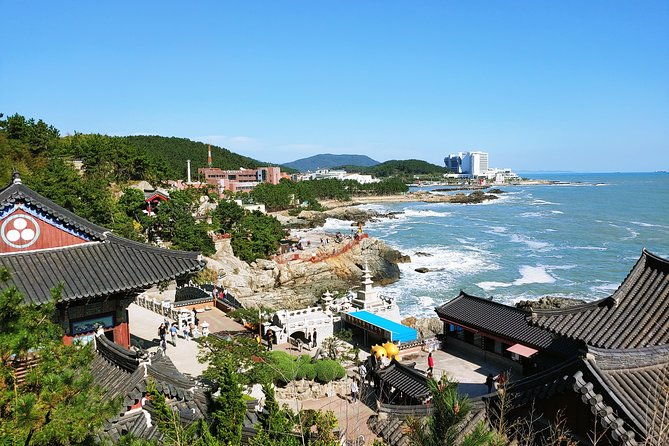 Cruise Layover Busan Highlight Tour with Sea temple and Gamcheon - Why This Tour Offers Great Value