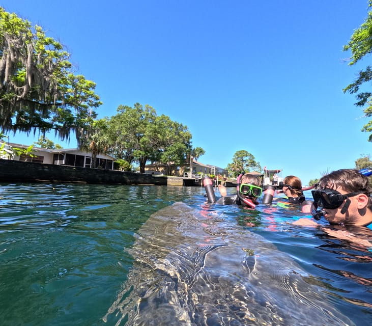 crystal-river-guided-manatee-snorkeling-tour