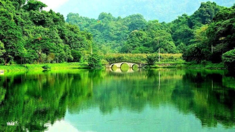 cuc-phuong-forest-the-forest-of-thousands-of-butterflies
