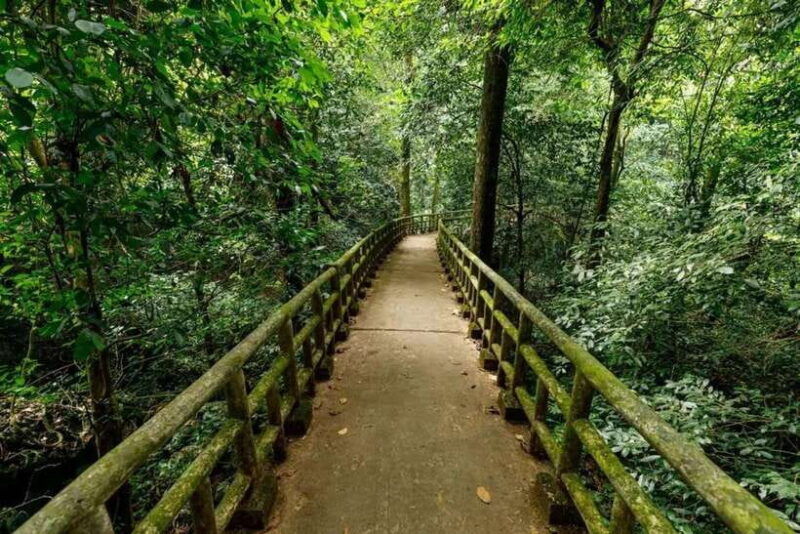 cuc-phuong-national-park-private-tour-from-hanoi-old-quarter