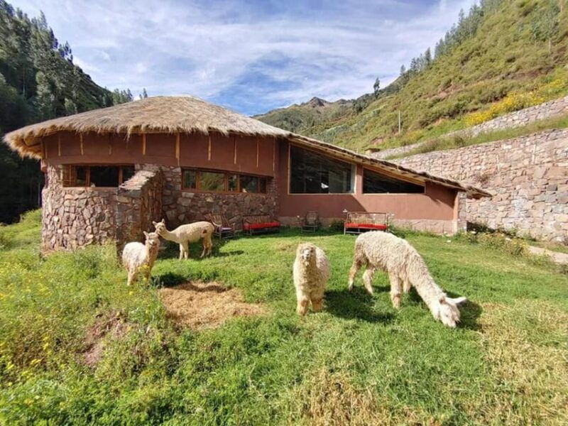 cusco-3-day-ayahuasca-retreat-with-meditation