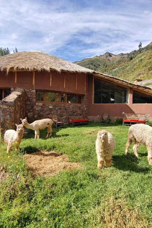 cusco-5day-ayahuasca-retreat-with-meditation-volunteering