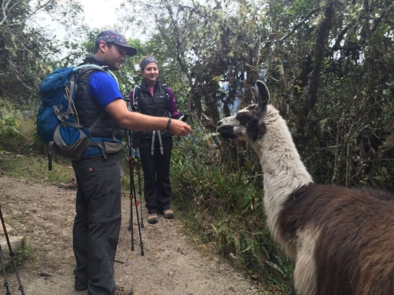 cusco-machu-picchu-inca-trail-4-day-trek