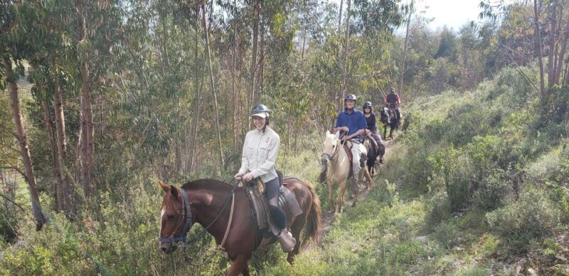 cusco-sacsayhuaman-guided-tour-and-1-hour-horseback-ride