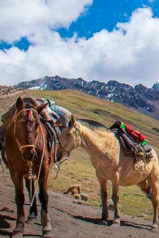 cusco-visit-rainbow-mountain-on-horseback-lunch
