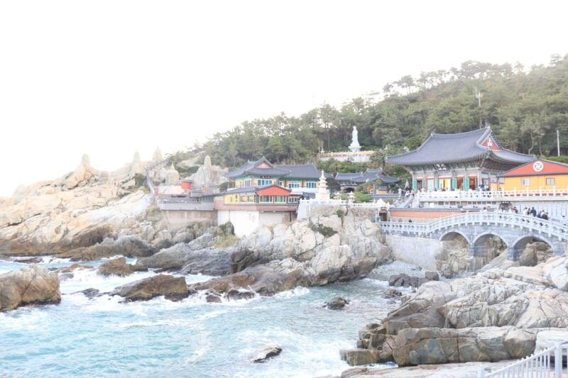 customized-private-busan-tour-with-licensed-agency-and-guide