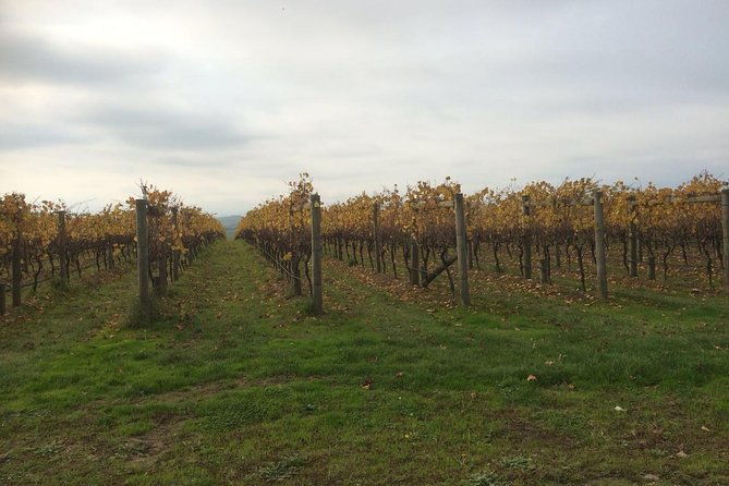 Customized private winery day tour in Mornington Peninsula at your own choices - The Itinerary: What You Can Expect