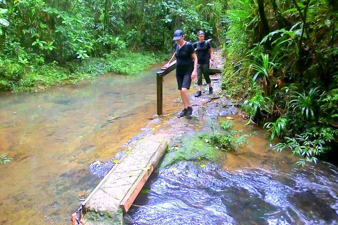 Customized Suva day tour - What Makes the Suva Custom Tour Stand Out?