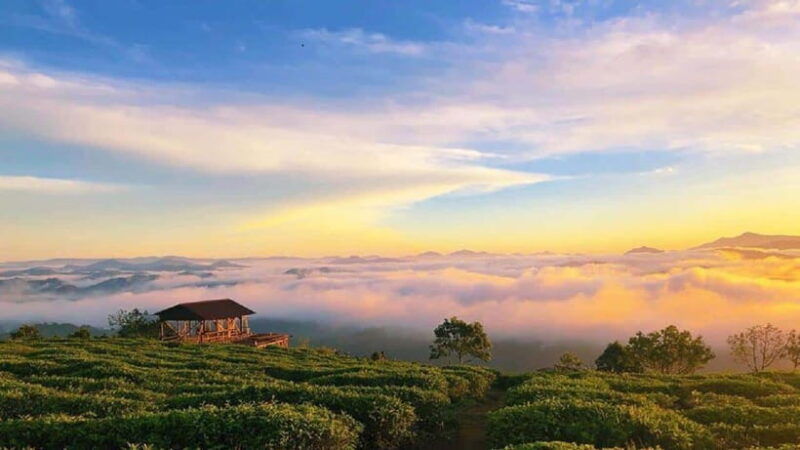 da-lat-cloud-hunting-and-the-glow-of-dawn-tour