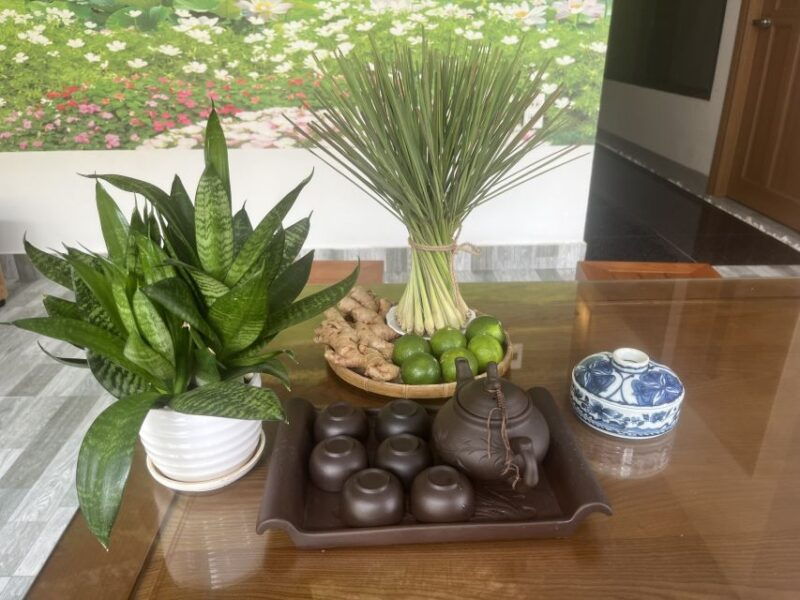 da-nang-experience-60-minutes-thai-traditional-massage