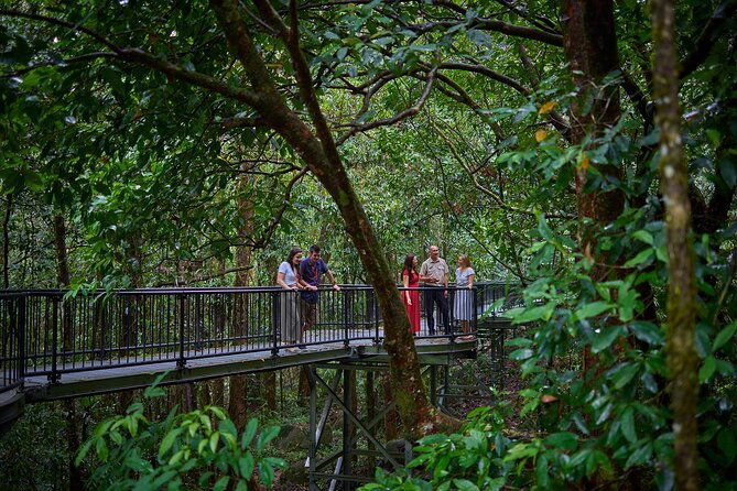 Daintree Dreaming Aboriginal Art & Culture - CairnsPort Douglas - Final Thoughts: Who Should Consider This Tour?