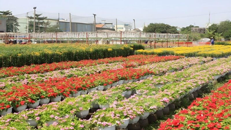 dalat-countryside-tour-2