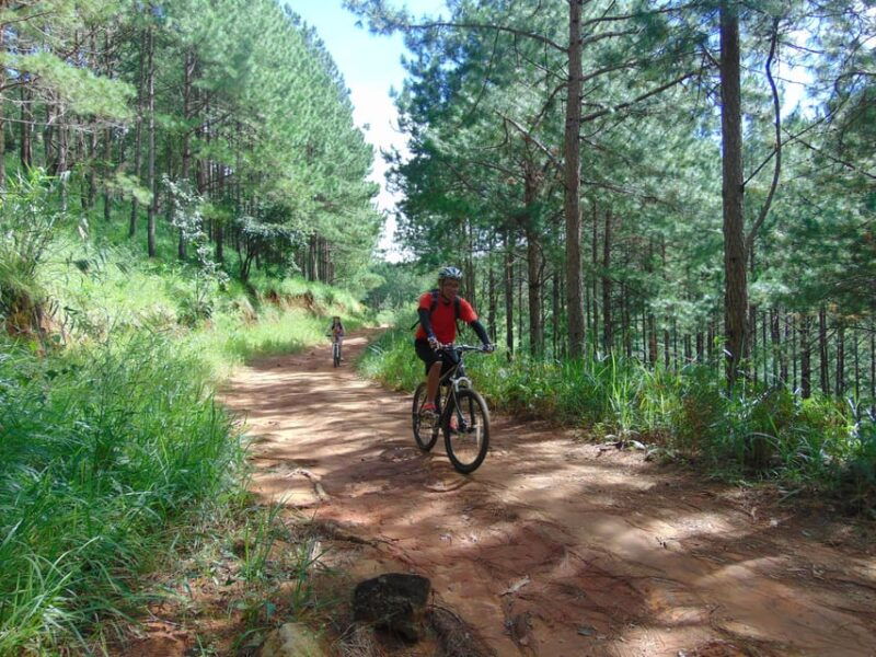 dalat-elephant-waterfall-countryside-bike-tour