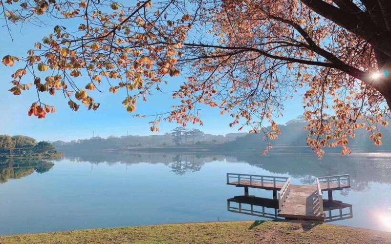 dalat-highlights-explore-top-attractions-in-the-city