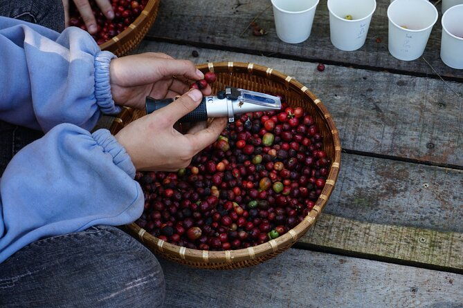 Dalat's countryside|Coffee Plantations Tour beyond Elephant falls - Practical Details: What to Expect and How to Prepare