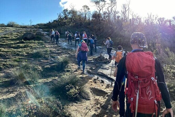 Darling Range Twin Peaks Hike - Who Will Love This Hike?