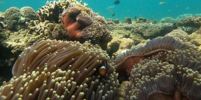 day-trip-5-secret-giilis-in-west-south-of-lombok