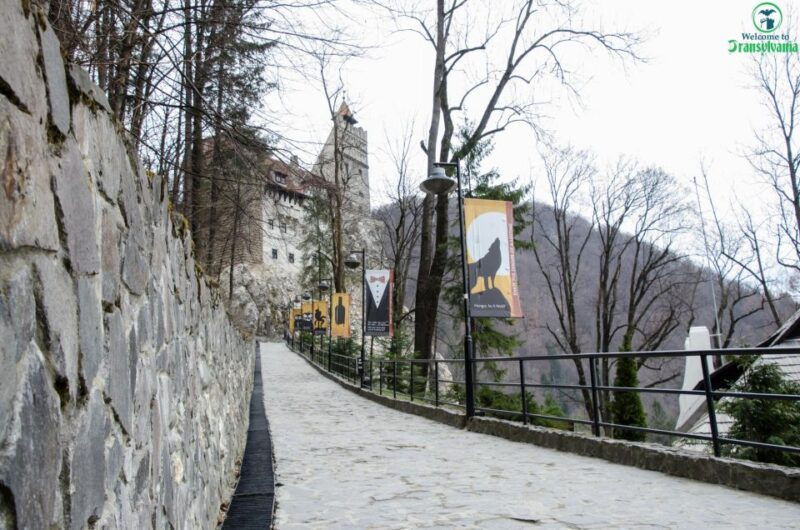 day-trip-bran-castle-rasnov-fortress-and-bear-sanctuary