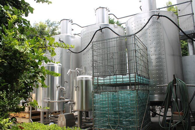 Deluxe Winery Tour to Tamborine Mountain (Mon-Tues) - Practical Tips for Your Day