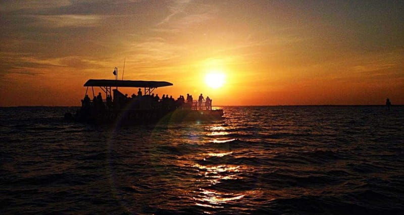 destin-dolphin-watching-cruise-2
