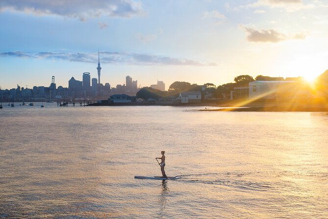 Discover Auckland City Tour: The City of Sails - Why This Tour Offers Great Value