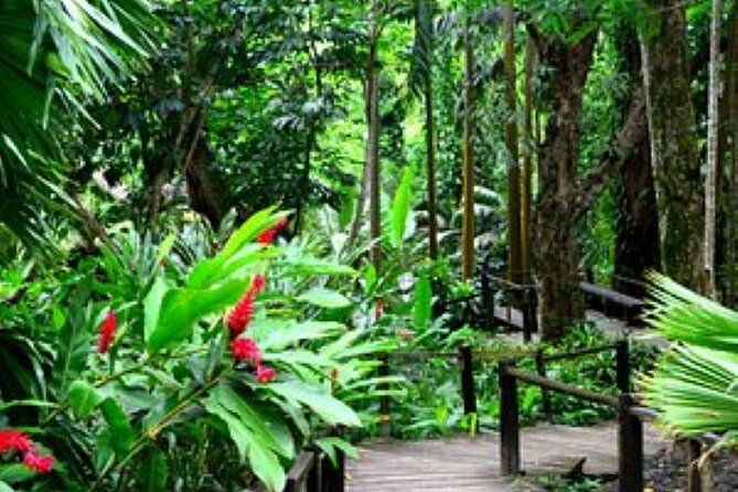 "Discover Fiji's Hidden Gems: Eco Park, Pottery Village & Dunes!" - Practical Aspects and Value